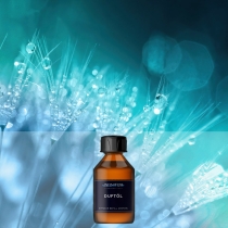 Aqua Fresca - Premium Duftöl Aromaöl von INFINITUM